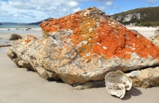 Anniversary Bay Orange Rock